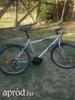 Caprine Boomer mountain bike frfi kerkpr elad