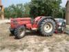 Same frutteto 75, Traktor 60-79 hk, Lantbruk