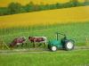 Pinzgauer Rinder MAN 4R3 Traktor 1960