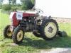 Steyr Diesel Traktor Typ 84s