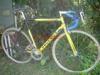 Peugeot 56 cm-es acl vzas hasznlt orszgti kerkpr elad