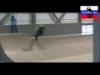 SkatePark Le TAZ Tricks Roller Skate BMX Extreme