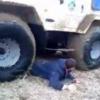 Vide: thajtott egy teheraut az orosz frfin