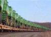 Video JOHN DEERE TRACTOR USED Traktor Video