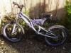 Bicycle bike dunlop signature sport boys gir