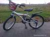 HAUSER FREDDY kerkpr 20 as