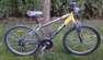 Xenon MTB kerkpr 24