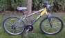 Xenon MTB kerkpr 24