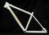 Magellan Pyxis Team 2011 frame