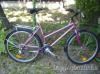 Woodlands schwinn ni kerkpr