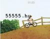 Mountain bike sport online