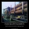 Faszllt kamion