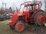 MTZ 50 traktor elad