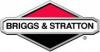 Briggs Stratton Motor