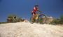 The Top 10 Downhill Bikes