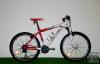 Ferrini R3 MTB Kerkpr - 2012