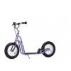 Schwinn Roller 12