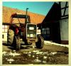 MF 265 Schlepper EZ 1978 MASSEY FERGUSON 44kw 60PS Traktor