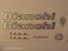 Bianchi kerkpr matrica
