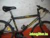 Hasznlt Frfi Mtb kerkpr Esperia Cross Fire