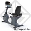 Vision Fitness R70 httmls profi szoba kerkpr