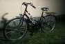 Schwinn Csepel Tra 28 coll city retr kerkpr