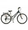 Schwinn Csepel Traction TX-51, agydinams frfi s ni kerkpr