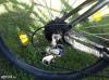 Caprine Epic 30 V MTB XL vz kerkpr