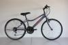 Kerkpr MTB GTX N-tech 18 spd 26