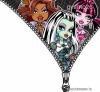 MONSTER HIGH ruhra vasalhat matrica 10* 11 cm