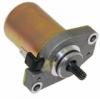 2-Stroke Starter Motor - 10 Splines (161-213)