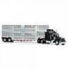  Kamion modell - Peterbilt