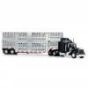 Kamion modell Peterbilt