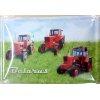 Belarus Traktor Ddr Blechschild Stabil NEU 30x20cm S3817