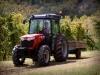 Massey Ferguson MF 3600 traktor