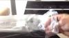 UNBOXING THE NATIVE INSTRUMENTS TRAKTOR KONTROL F1 Video