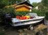 Neptune 2 motorcsnak Evinrude Elan (35LE) motorral elad