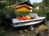 Neptune 2 motorcsnak Evinrude Elan 35LE motorral elad