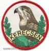 Kerecsen 1.harci helikopter szzad karjelzse